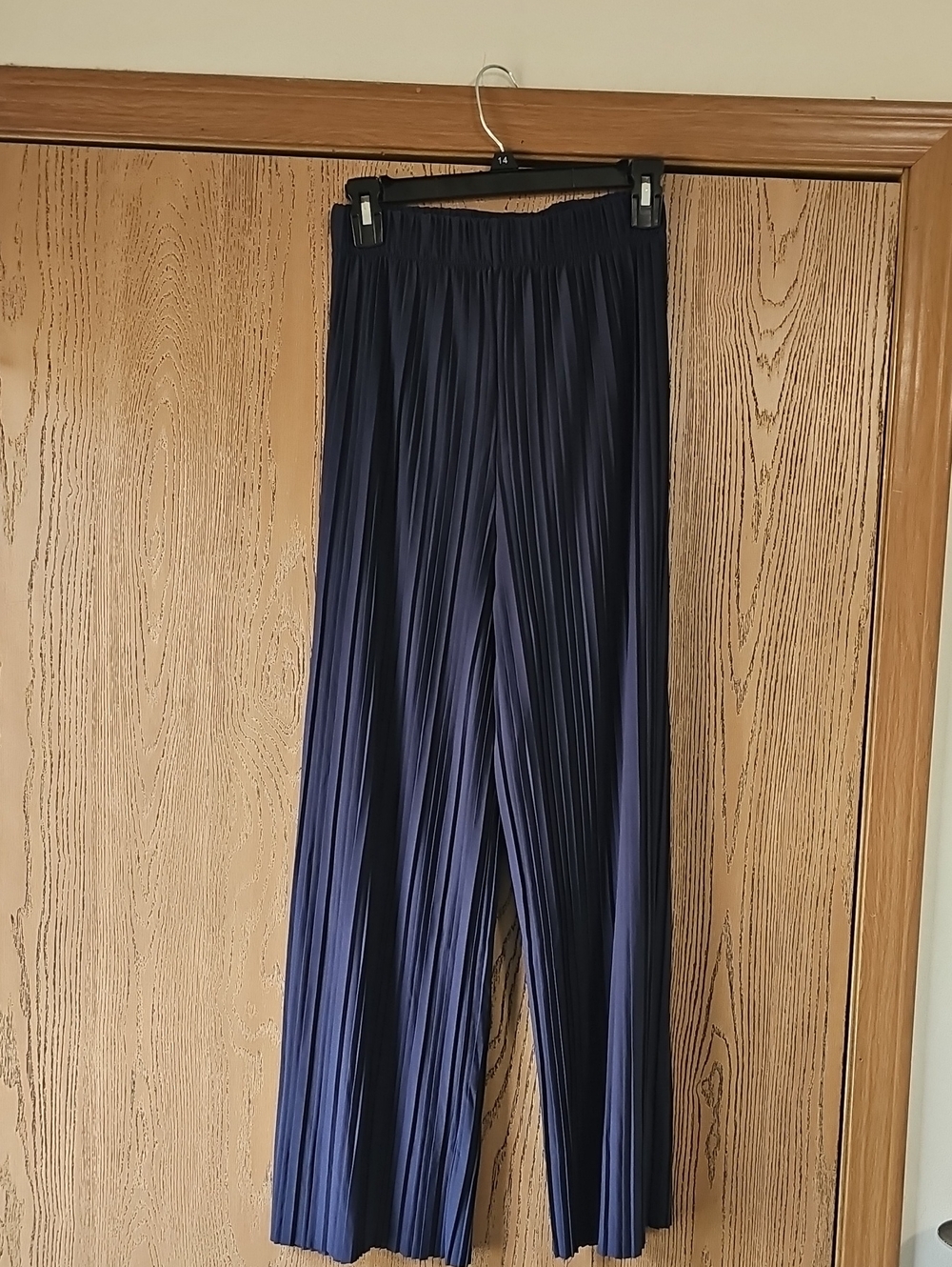 Sale...Pleated Wide-Leg Pants - Navy